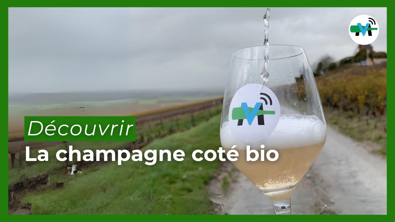 À la découverte de la Champagne côté bio