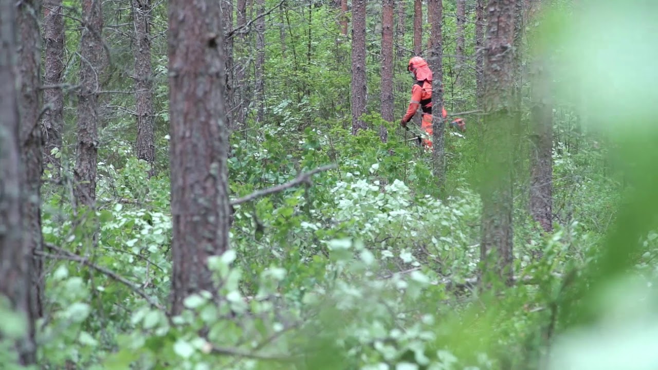 UPM Förhandsröjning