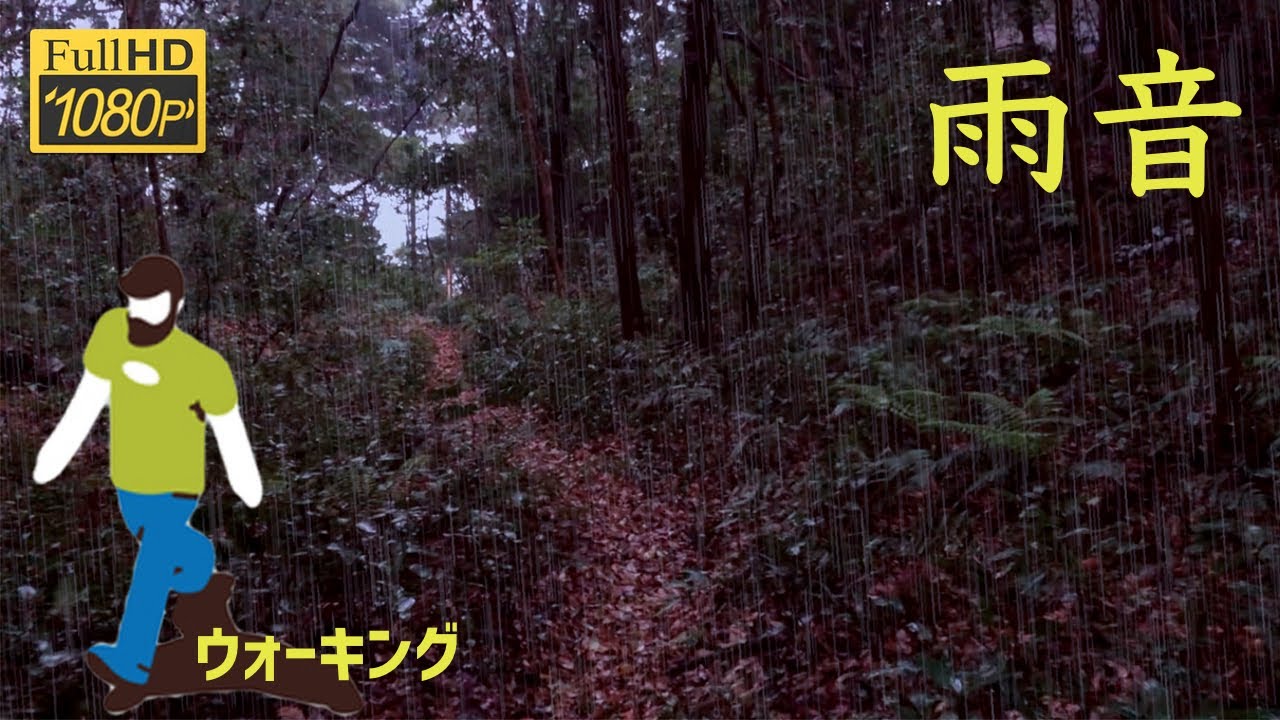 【雨音】雨の日に原生林を歩く / Walk the primary forest on a rainy day
