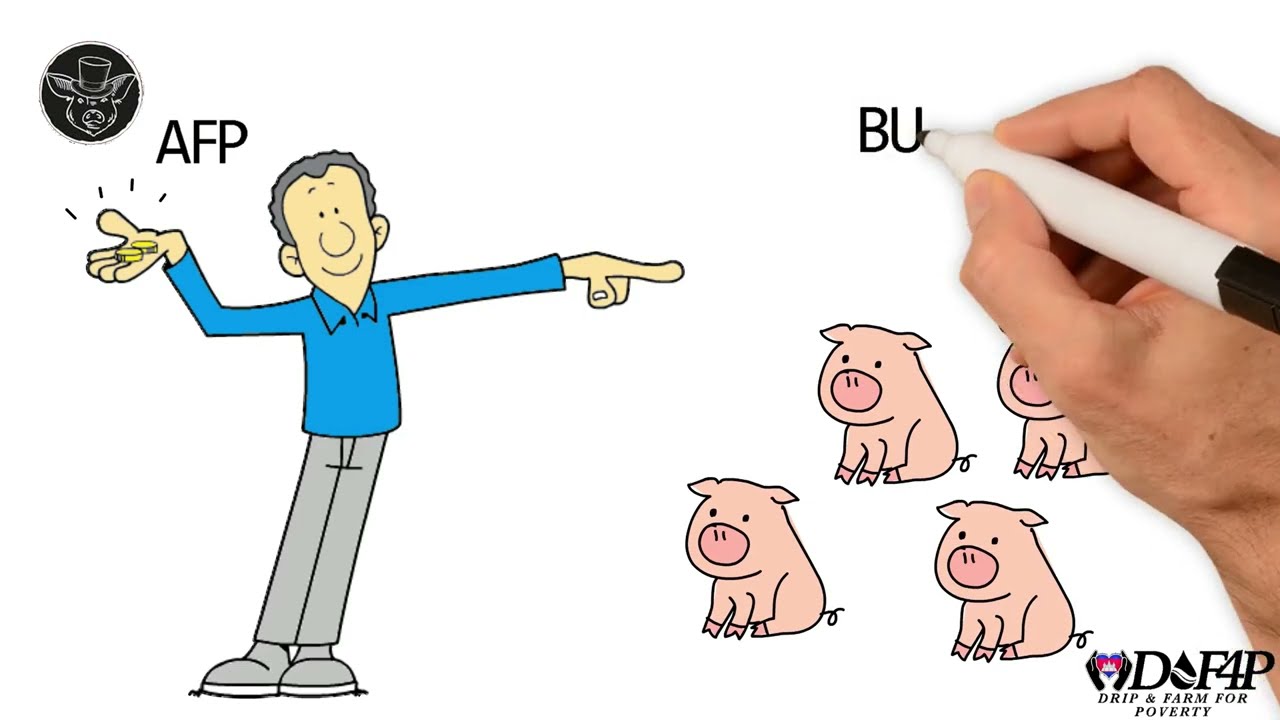 Drip Network Animal Farm Pig Pen animated short white board explainer