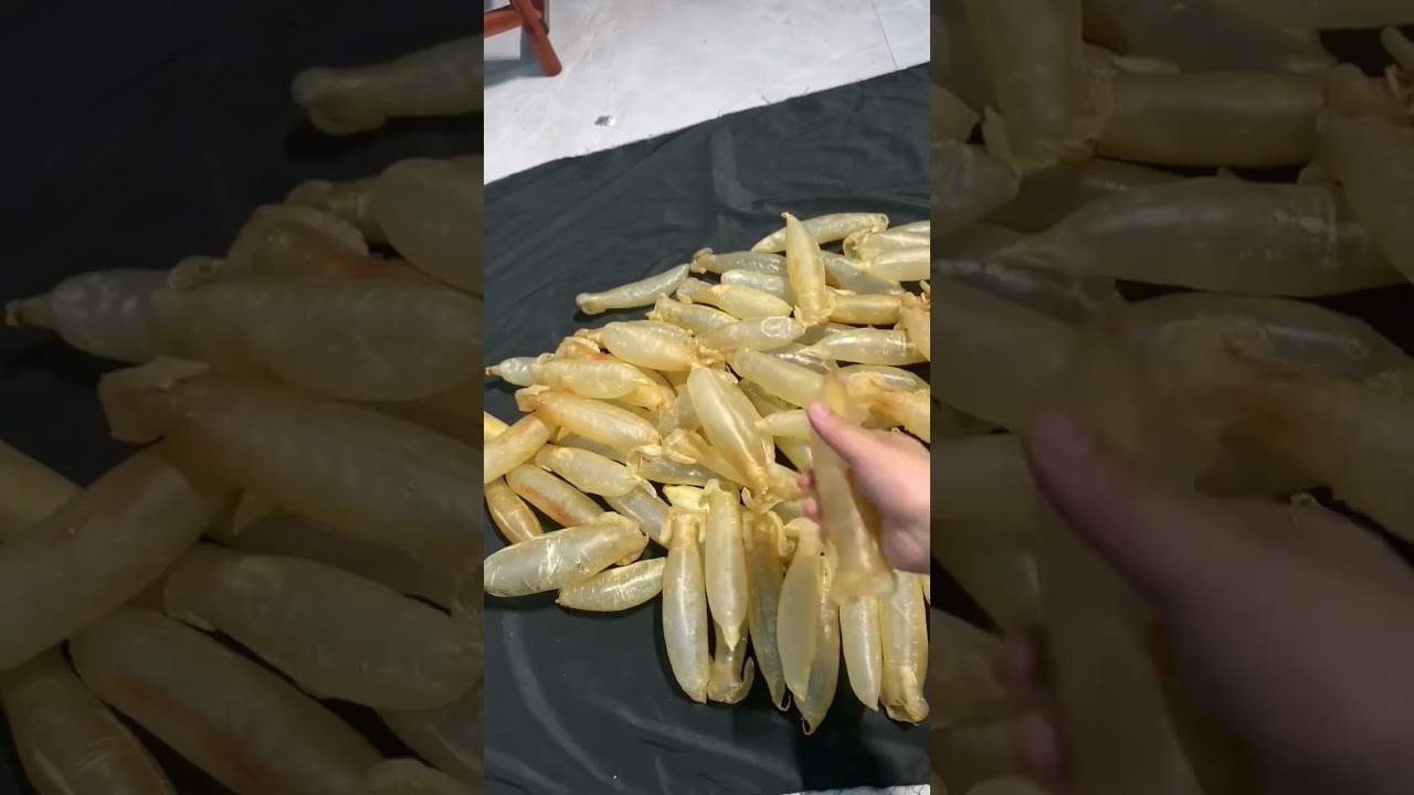 Datina Fish Maw