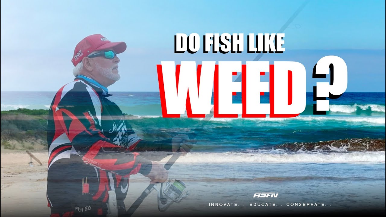 Do Fish Like Weed?
