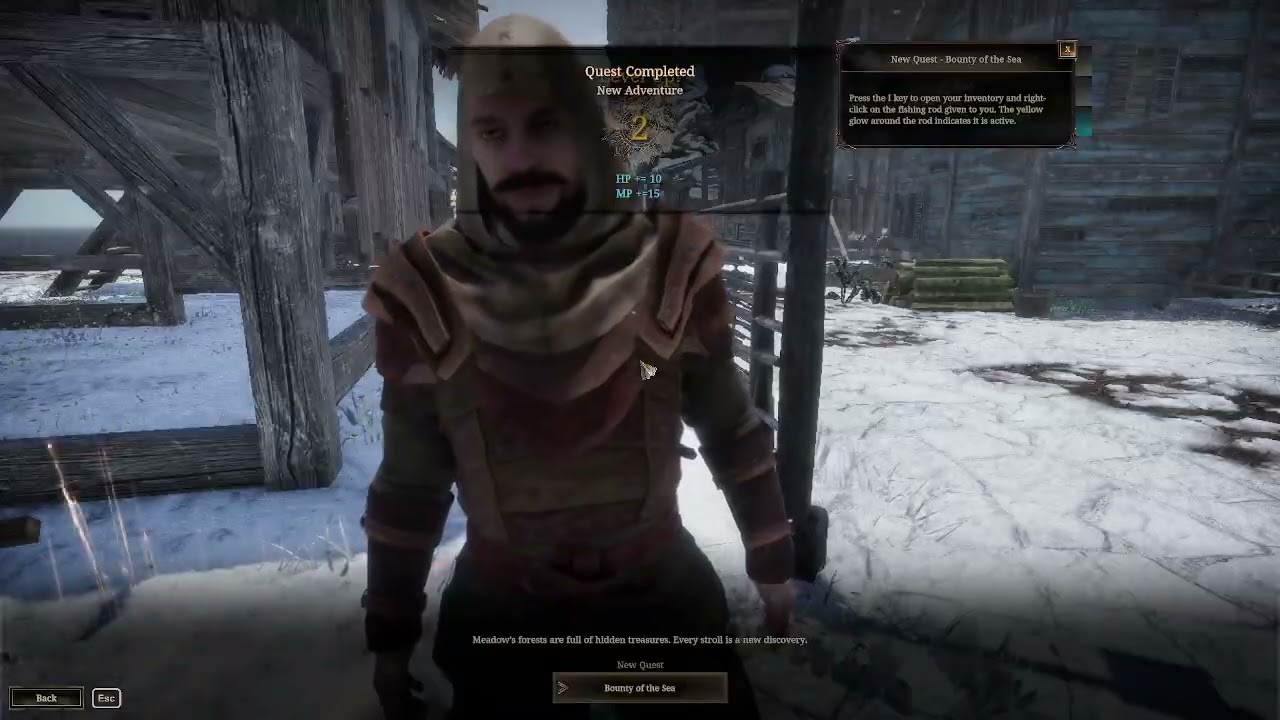 The Quinfall is not the game I thought it would be!