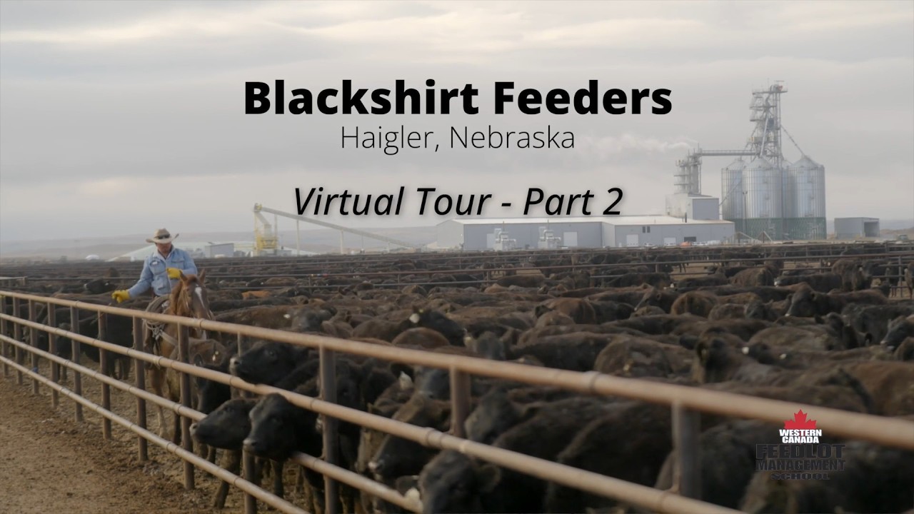 2026 Western Canada Feedlot Management School - Blackshirt Feeders Tour Part 2