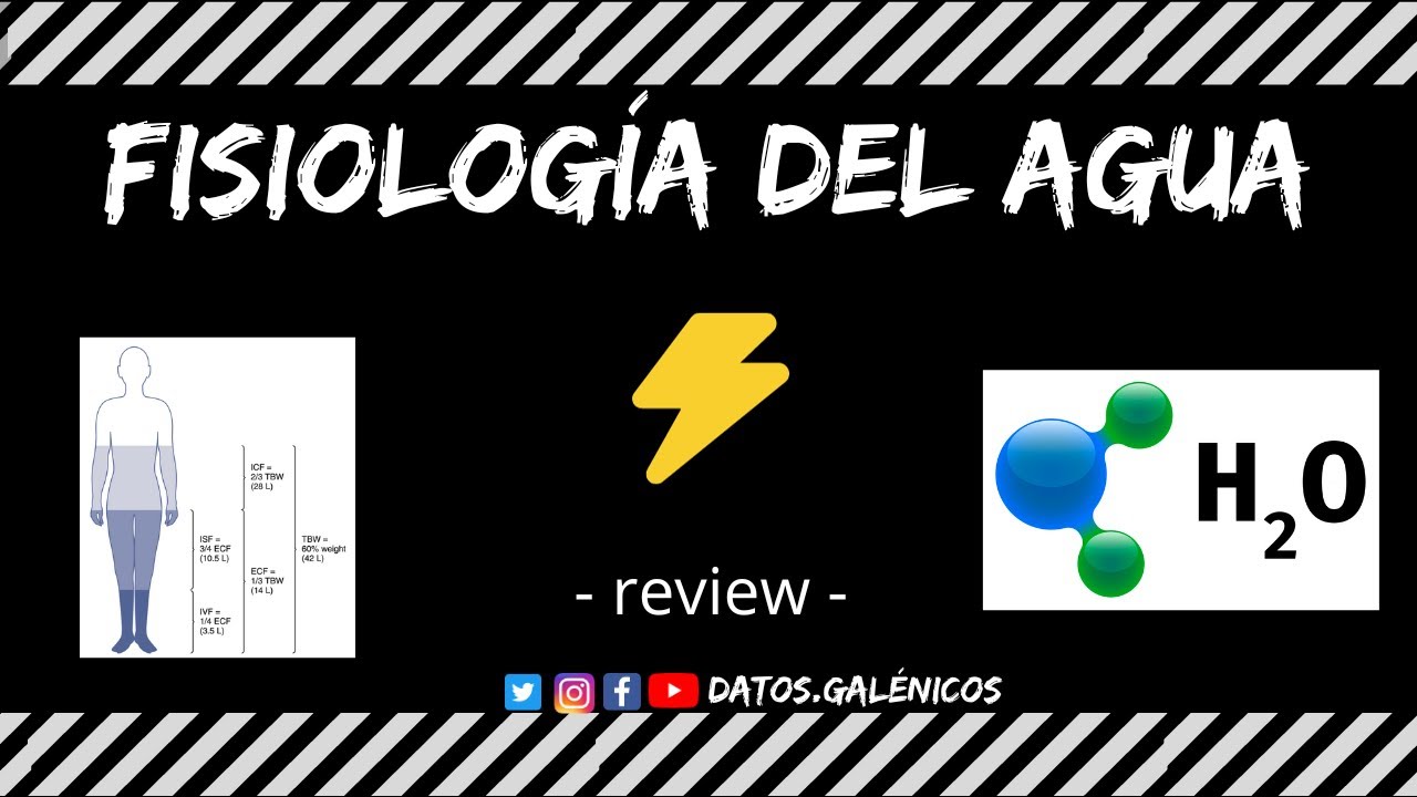 Fisiolog&iacute;a del agua ⚡️ distribuci&oacute;n corporal, electroneutralidad, osmolalidad, vasopresina