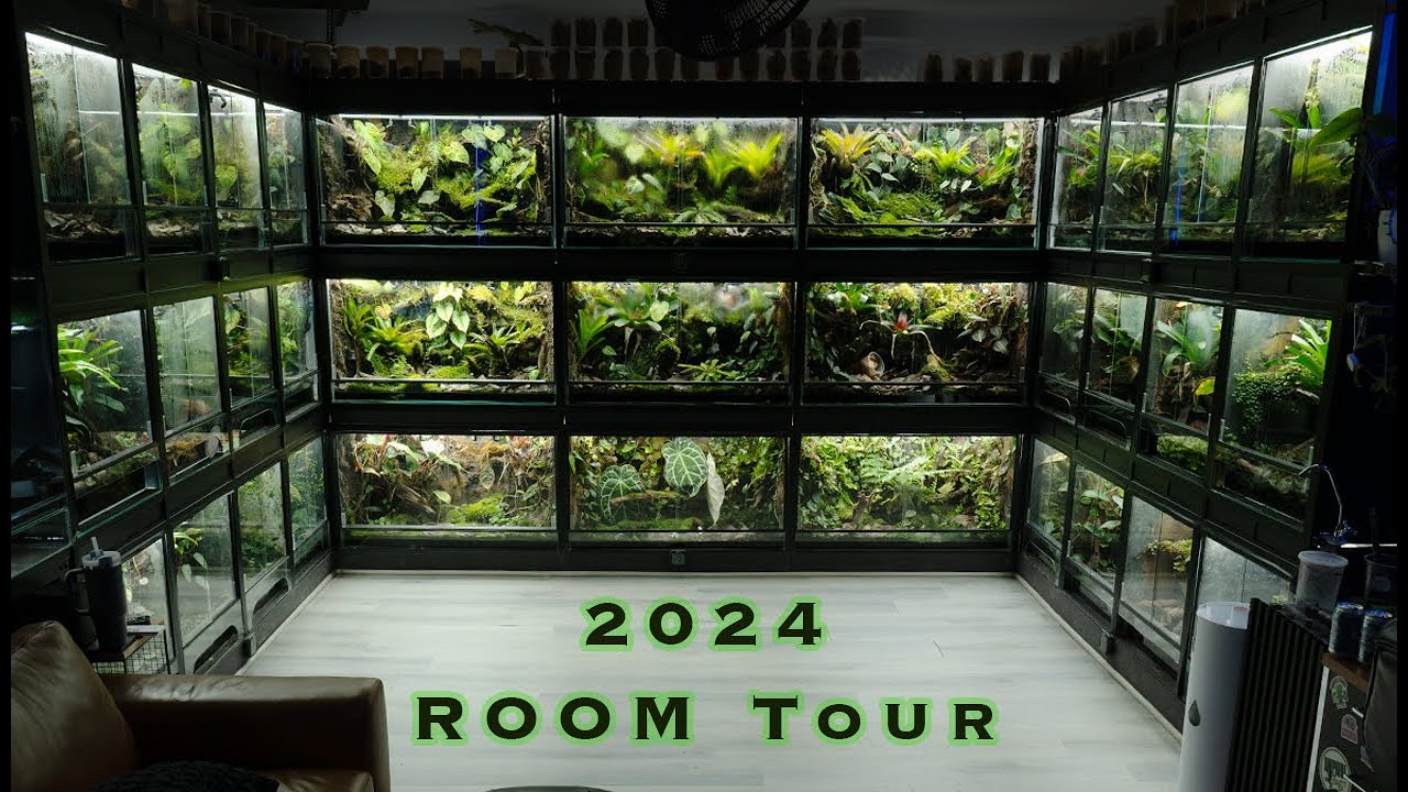 FROGROOM TOUR 2024!!
