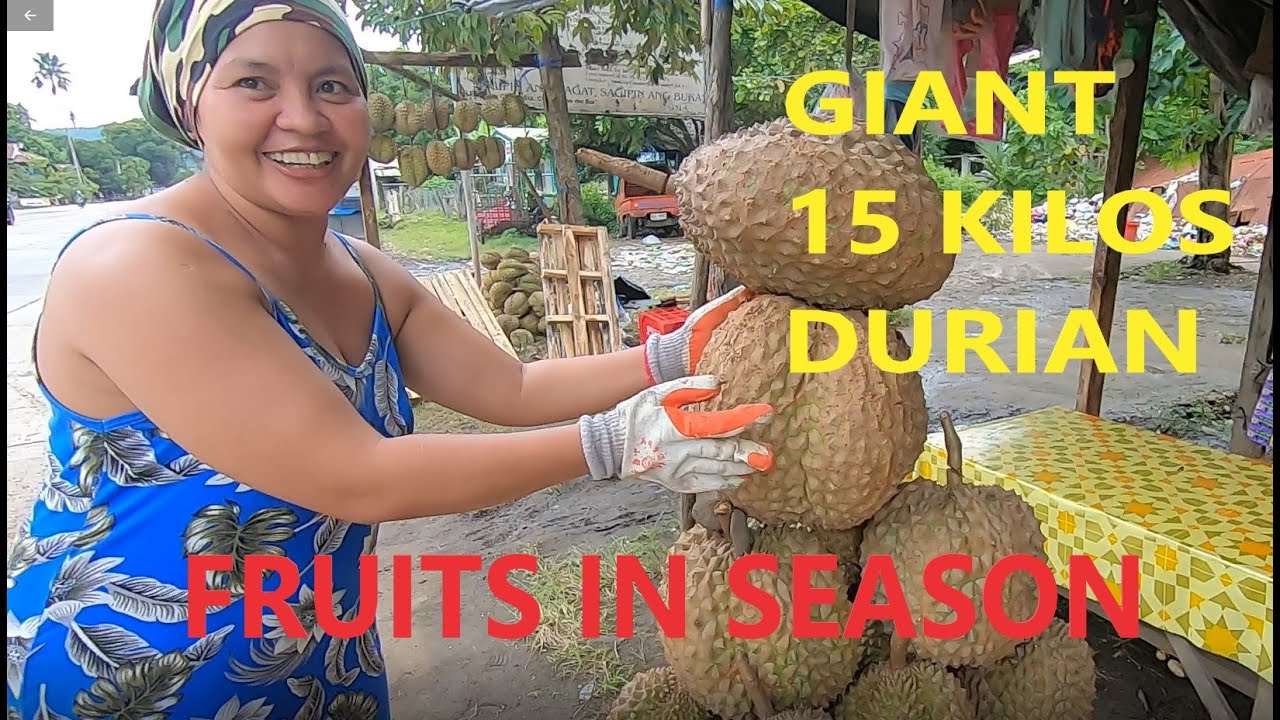 GIANT 15 KILOS DURIAN | Durian Varieties in Mindanao, Philippines