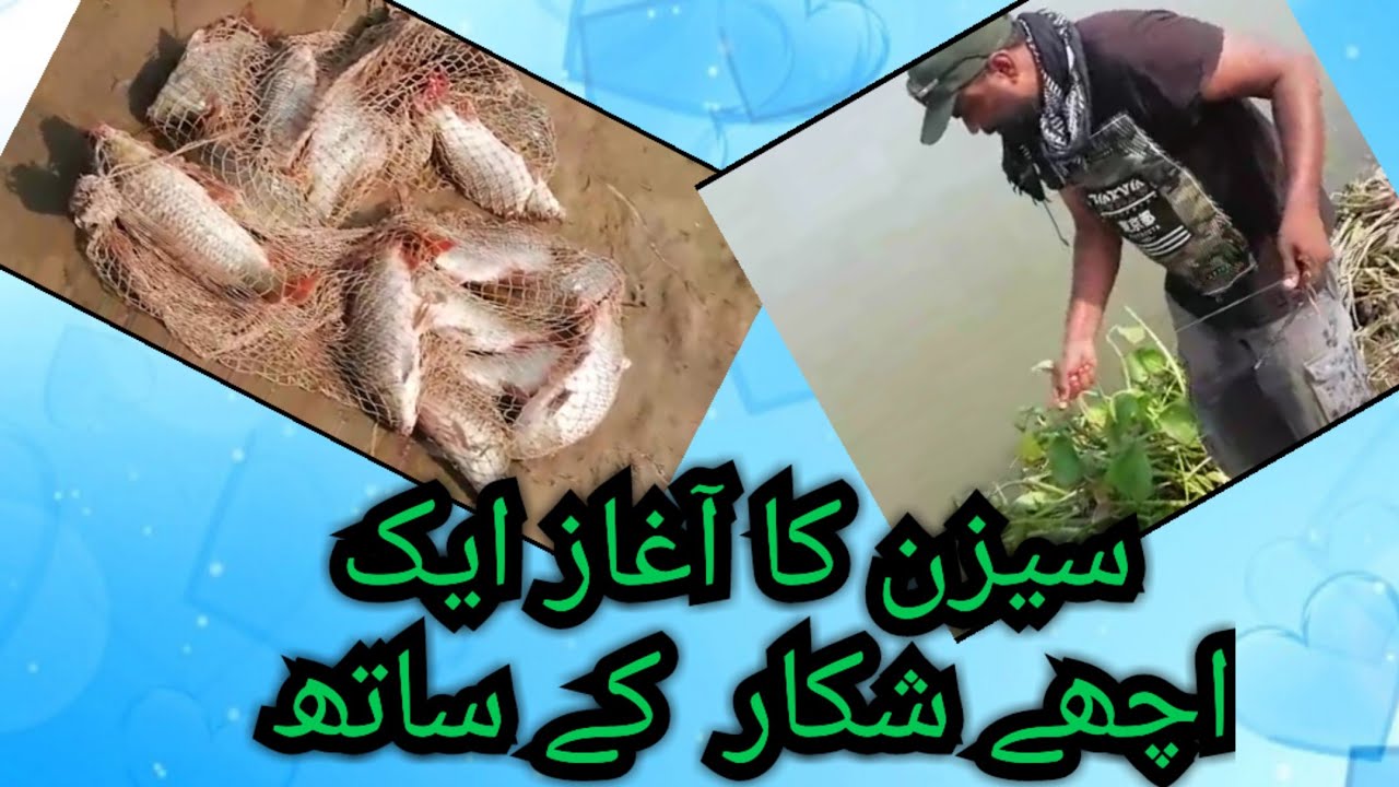 Start the year with a good hunt Ustad Shani 4/3/2023