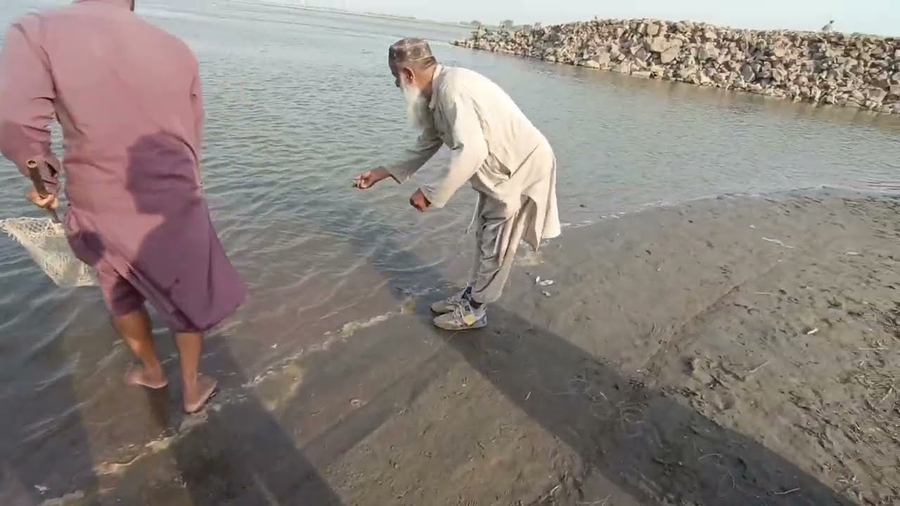 Rahu fish hunt | Fishing at chenab river| ڈمرا مچھلی کا شکار #fishing