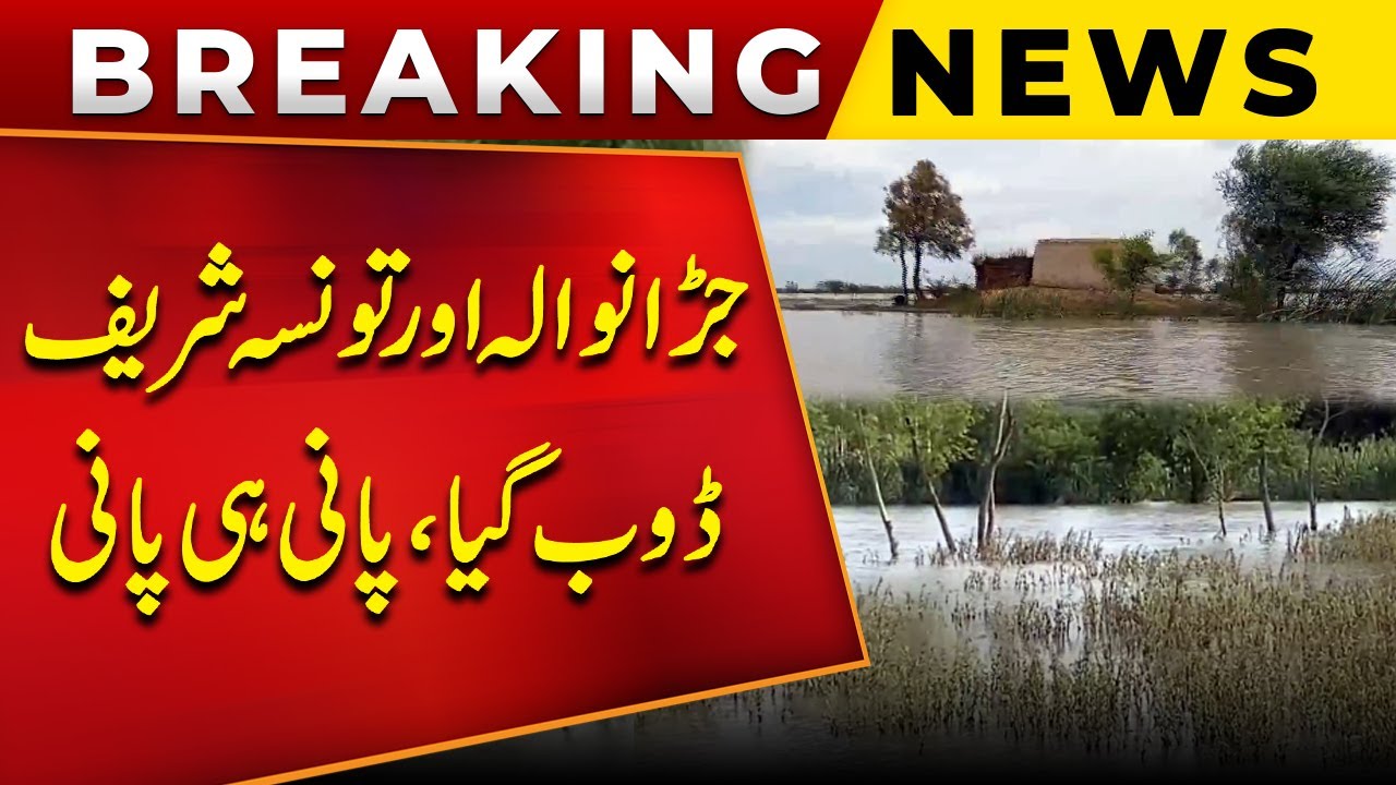 Cities Submerged! Flood Destroys Jaranwala & Taunsa Sharif | Public News