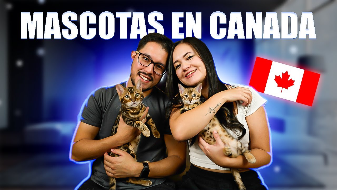 La Vida con MASCOTA en CANAD&Aacute; | Todo lo que Necesitas Saber