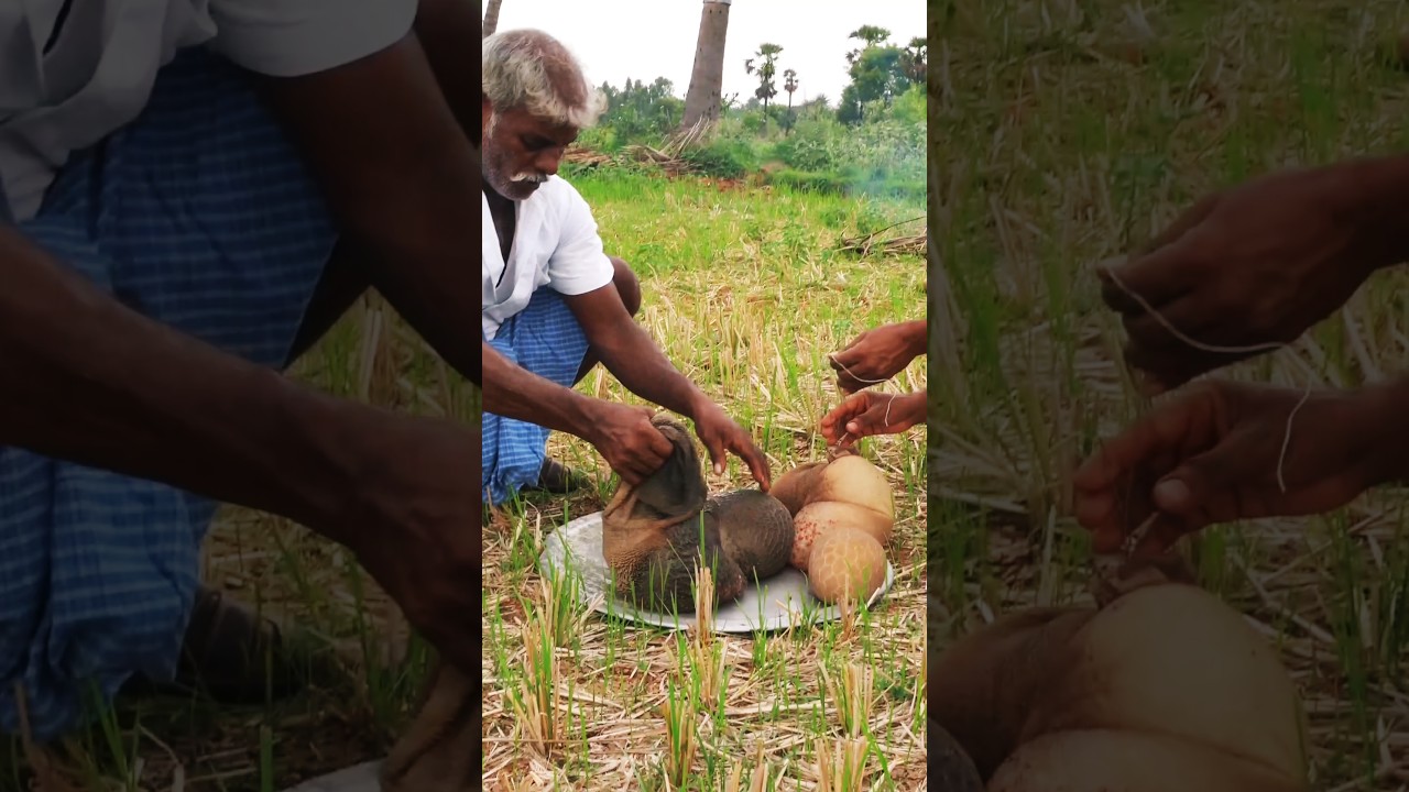 Goat intestine Pepper Fry #shorts