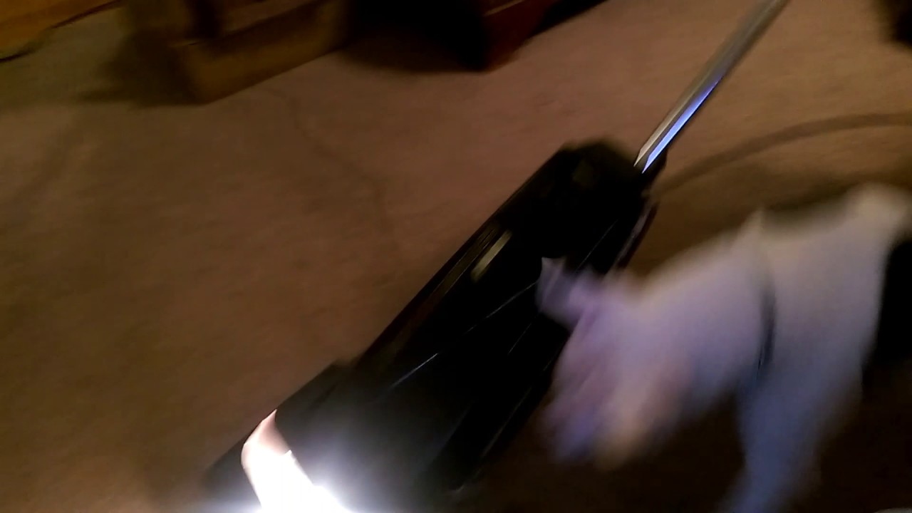 Dog attachment for vacuum cleaner