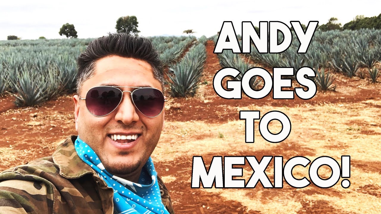 ANDY GOES TO MEXICO! - LifeWithTrina