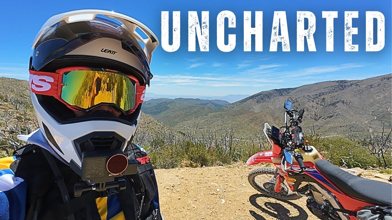 Wildlife Encounter on an Adventure Dual Sport Motorcycle Ride