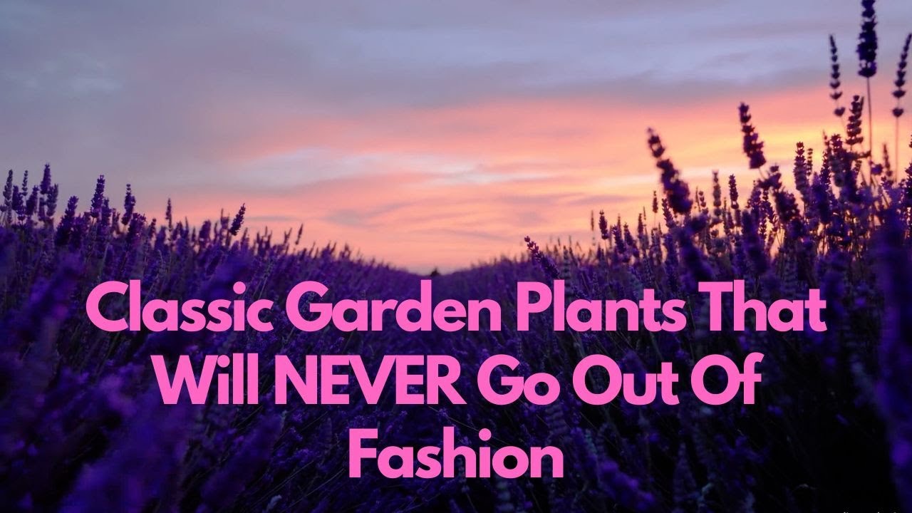 9 Timeless Classic Plants That Will Never Go Out of Fashion