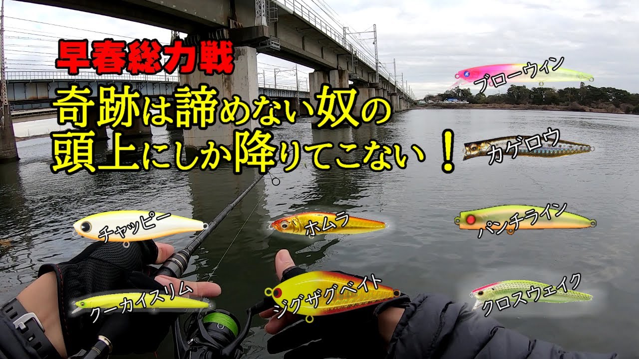 ボウズハイの向こう側でドン／湘南リバーシーバス