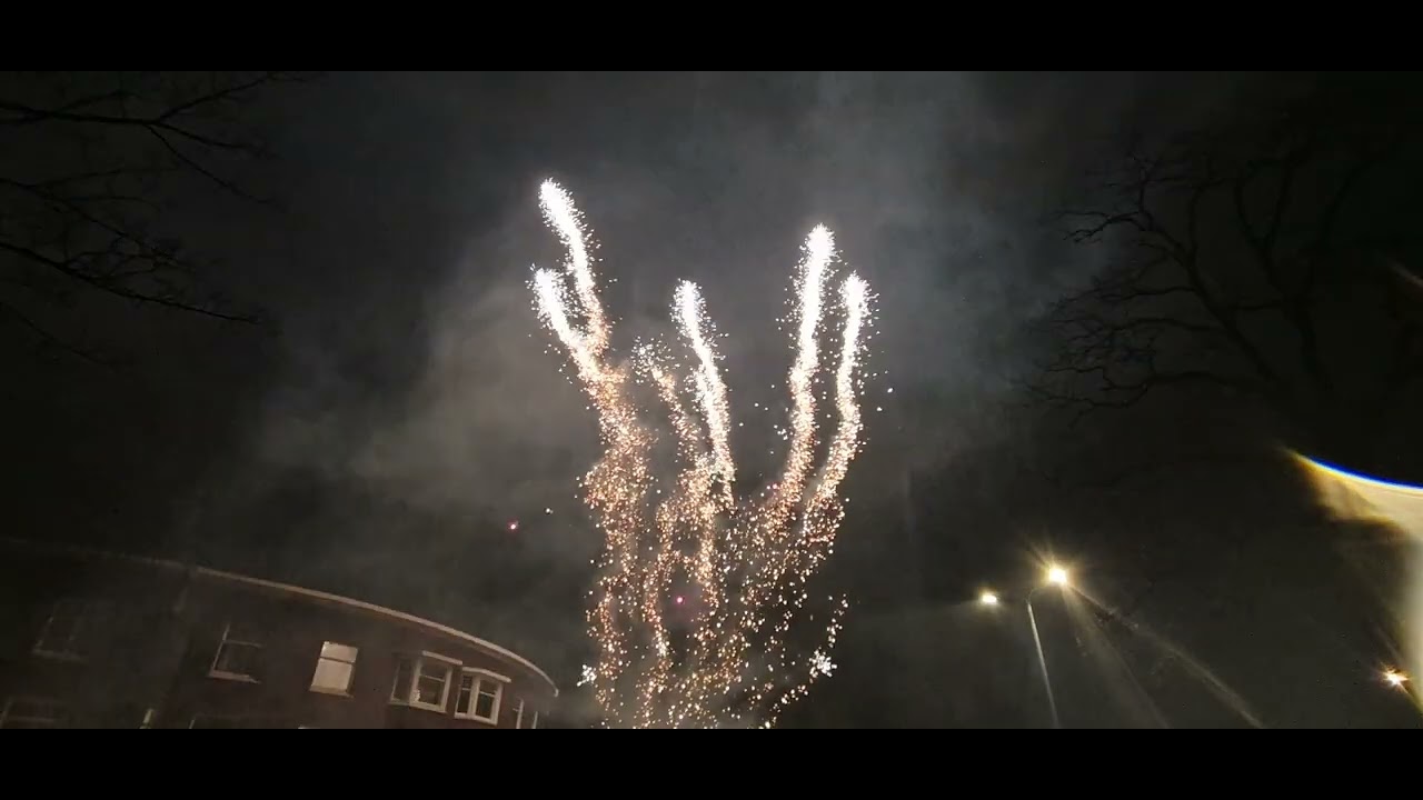 FWS - Demons of the Night