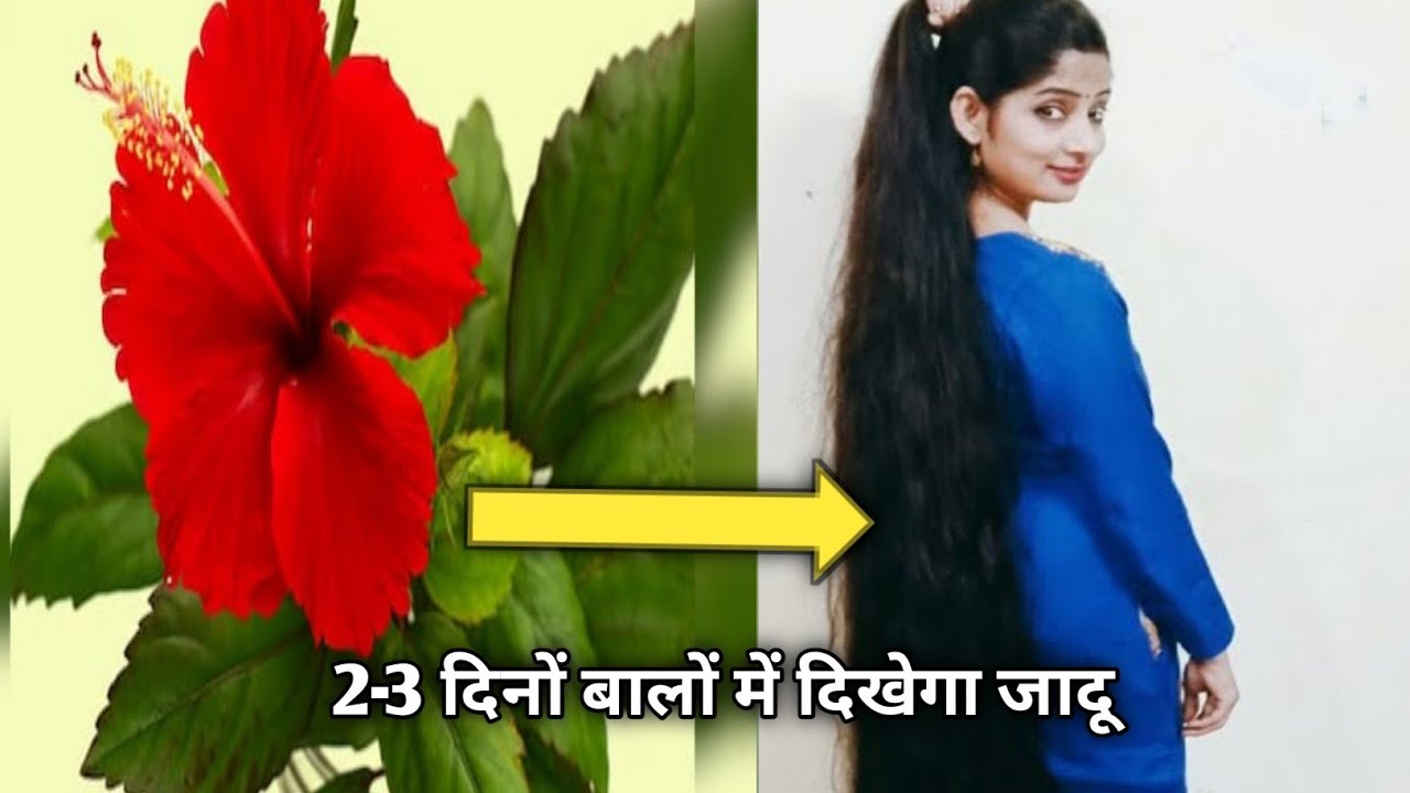 गुलहर के फूल में ये मिलाकर देखो एक बार || AMAZING VIDEO 😍|| HAIR CARE TIPS😘