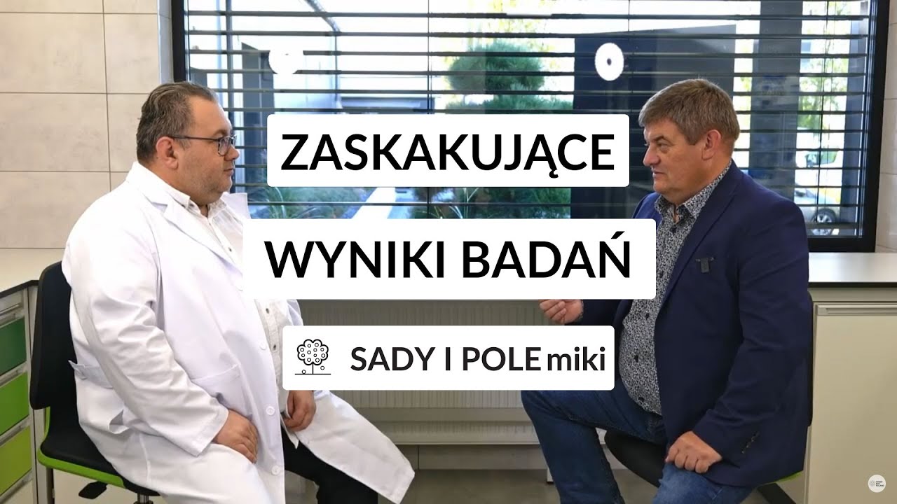 Zaskakujące wyniki badań. Co humusy potrafią zdziałać w truskawce? Sady i Polemiki