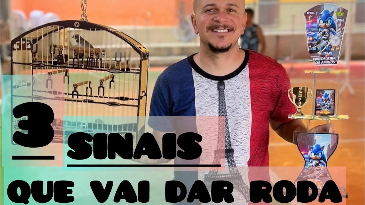 COMO ESCOLHER UM COLEIRO OU PAPACAPIM PRA TORNEIO