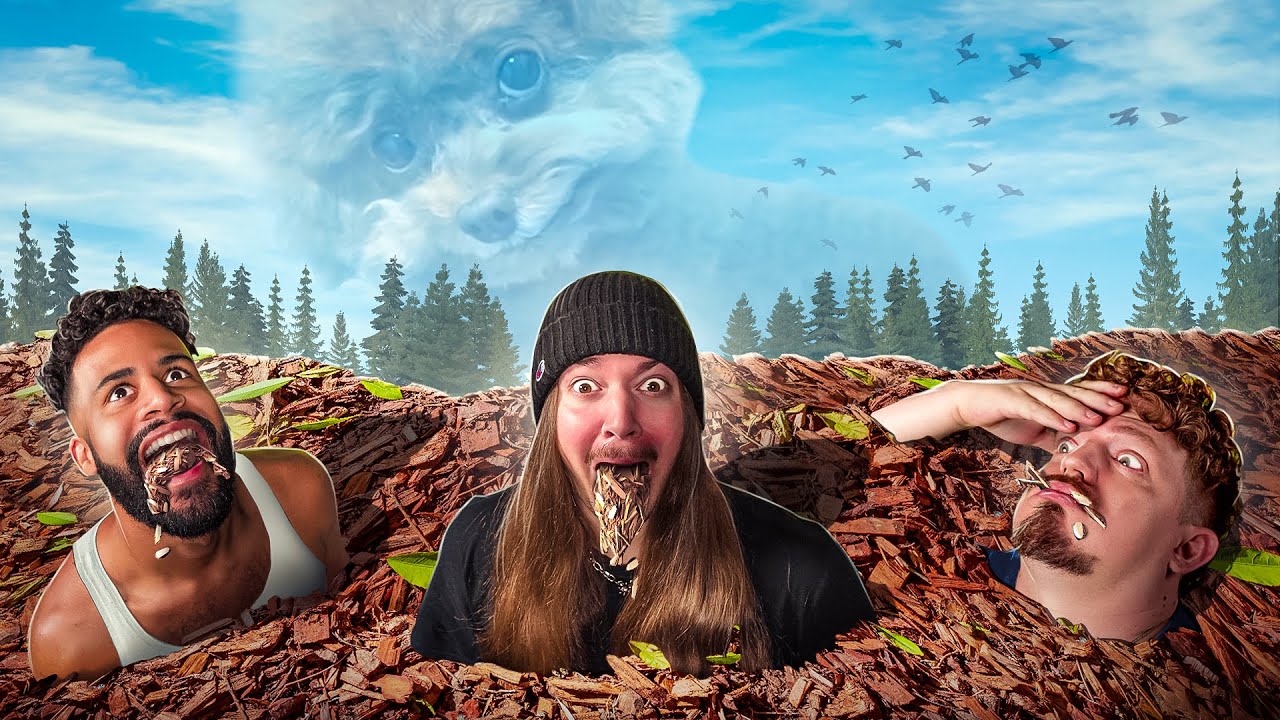 Memes that Make you EAT MULCH