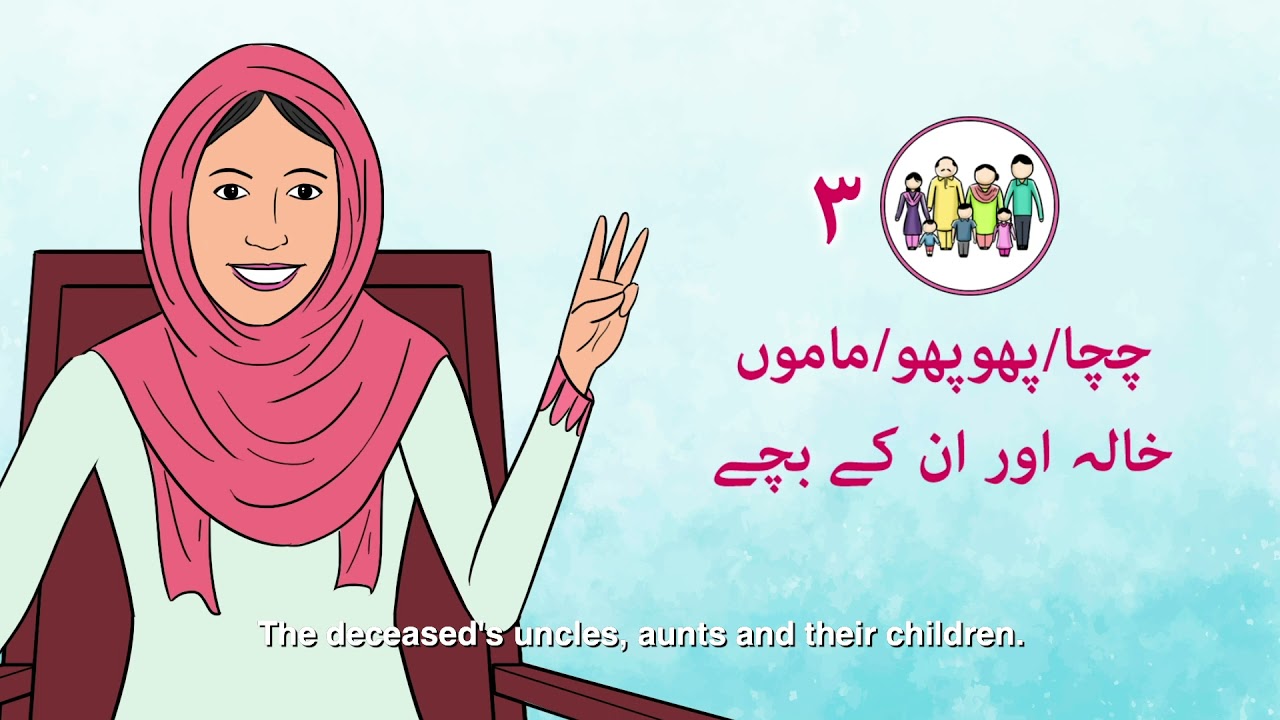 Inheritance: Shia Laws
