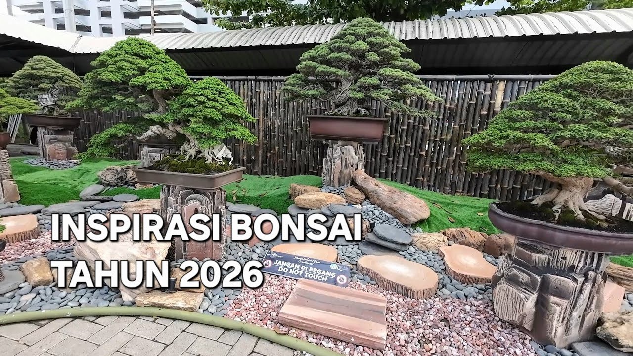 INSPIRASI BONSAI TAHUN 2026
