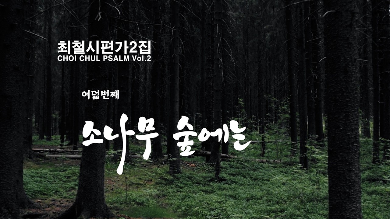 8 소나무 숲에는