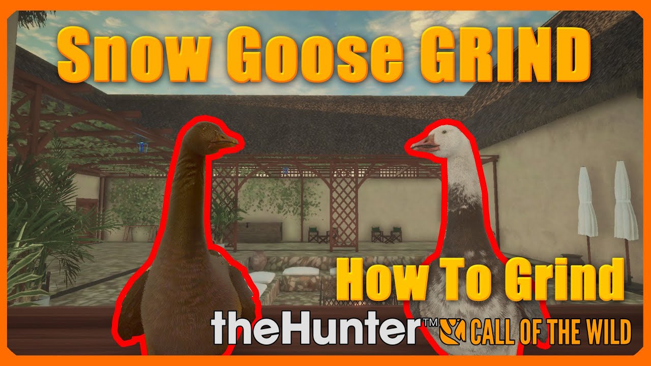 How to Hunt Snow Geese 🎯 | Full Beginner's Goose Hunting Guide - 1JMGames