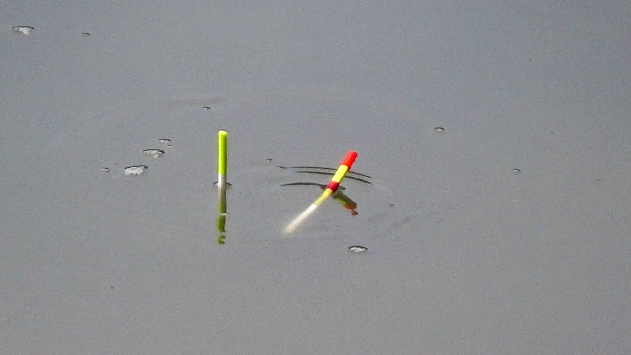 Traditional hooks fishing in Char Annadaprasad