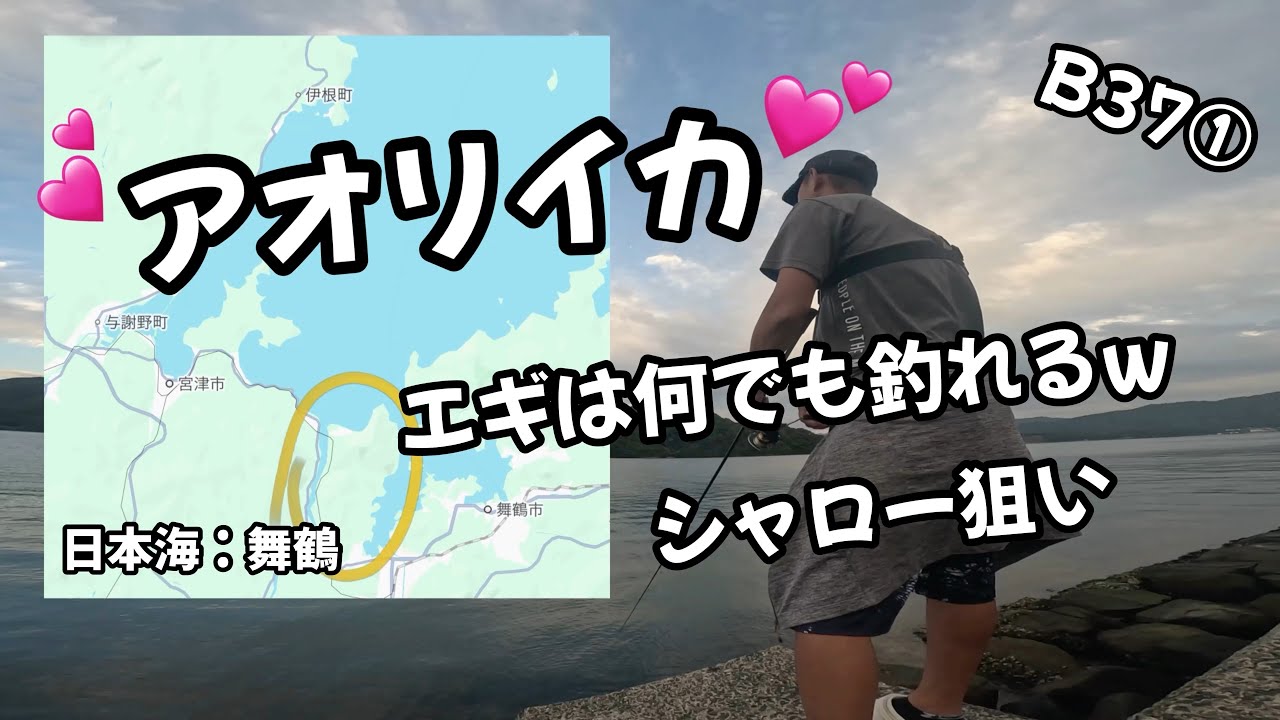 B37①【アオリイカRushを求めて💕舞鶴へ】京都日本海