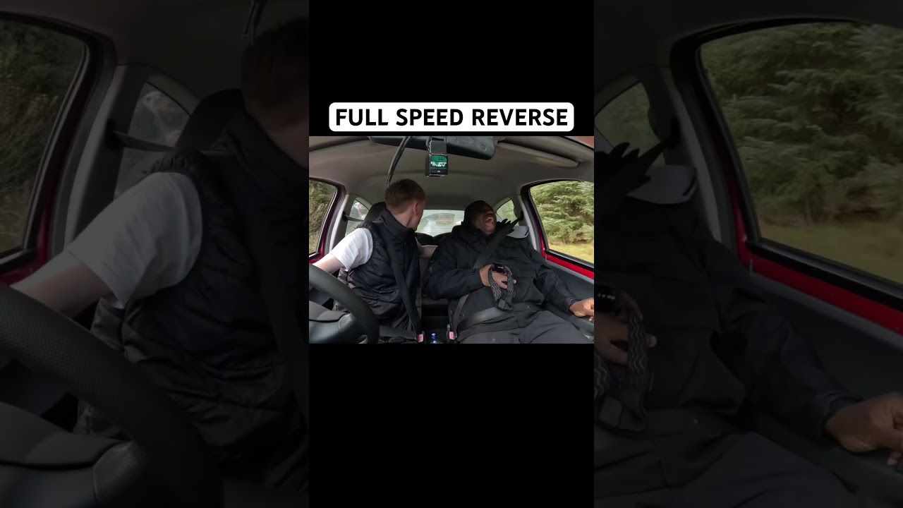 MEET SVEN, The Citro&euml;n C1 Peddler 💨💨💨 WATCH THE FULL VIDEO