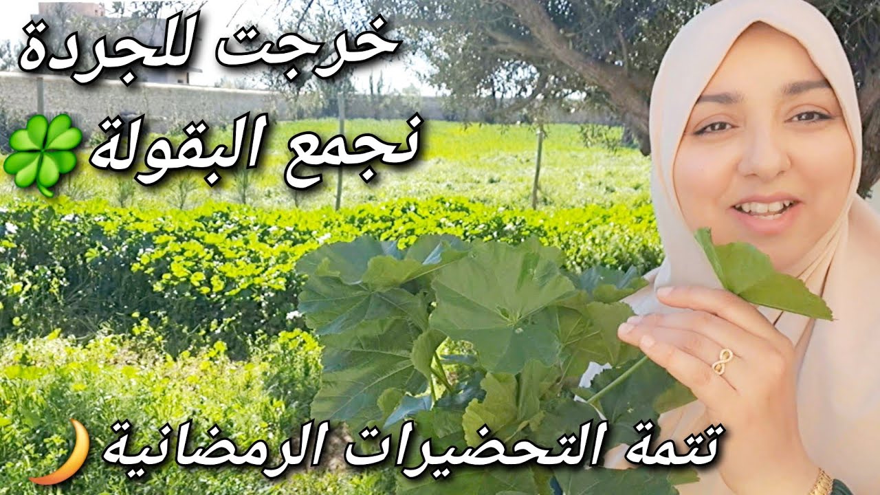 يوم رااائع والأروع وجدت شحال من حاجة نوضي ومتعگزيش/تحضيرات رمضانية🌙