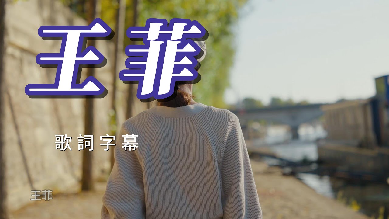 （王菲）（精挑細選。高音質）分享👍👍👍👍歌詞字幕