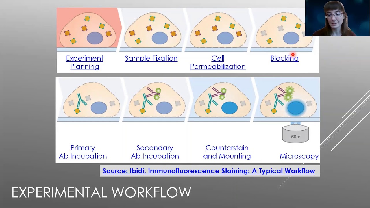 Bioanalytical Chemistry: Immunohistochemistry & Immunofluorescence Imaging