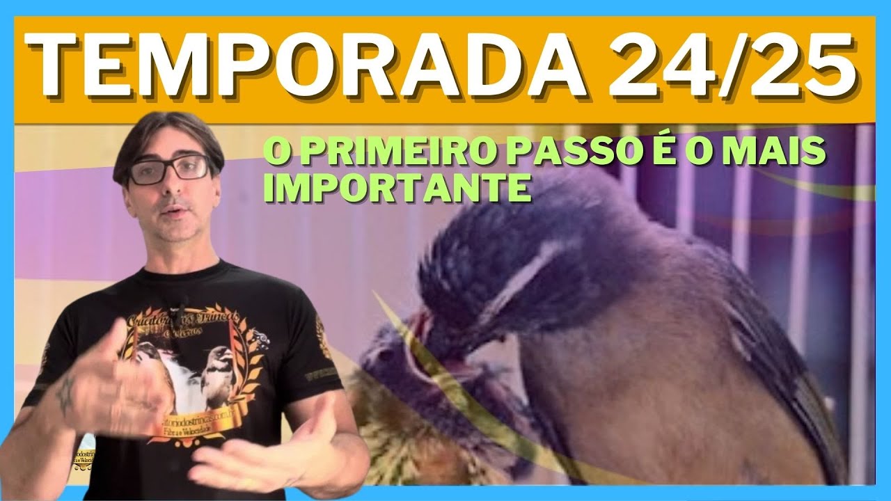 Papo de Trinca Ferro - Sobre Início de Temporada 24/25 - Dicas e Reflexões