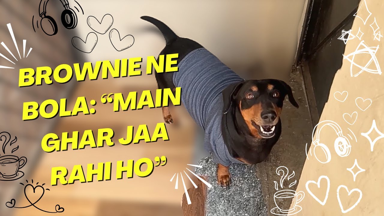 Brownie ne di chatt se ghar jane ki warning 🤣