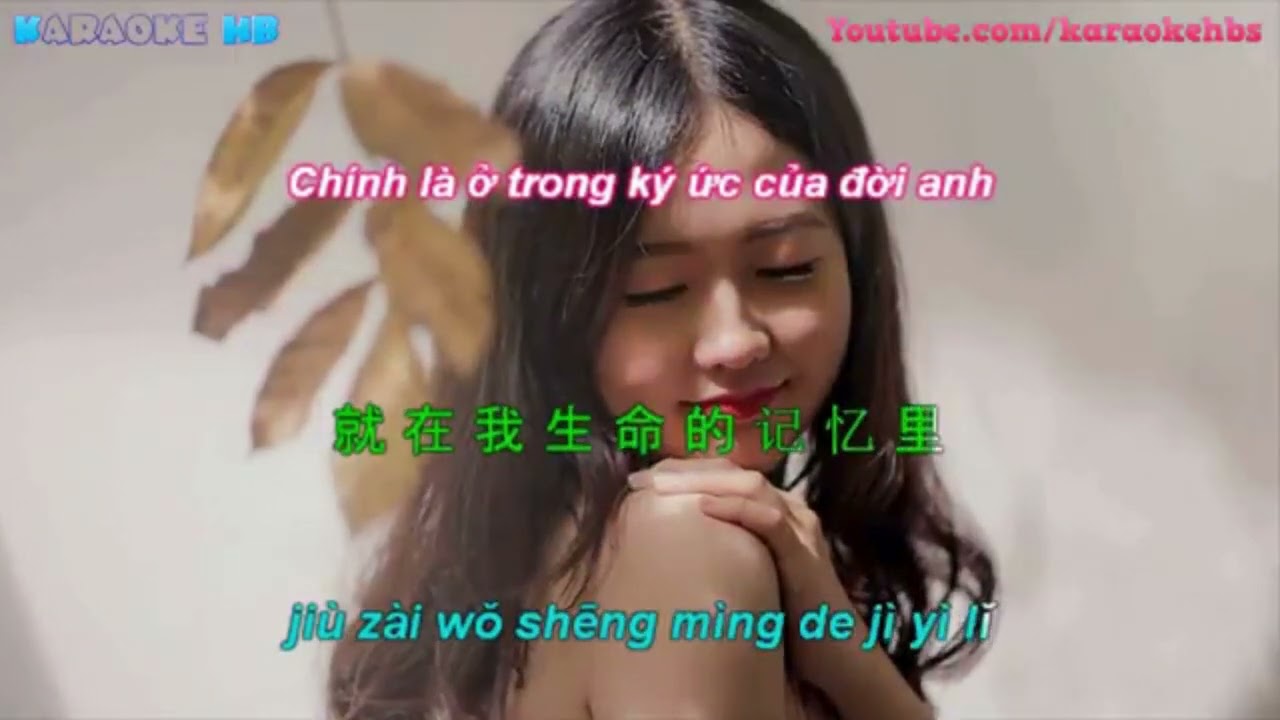 Dan Yuan Ni De Meng Zhong You Wo 但愿你的梦中有我 karaoke
