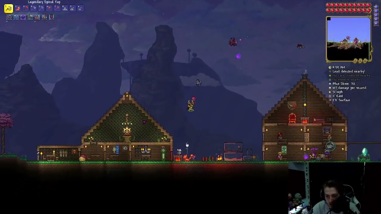 This isnt silksong...