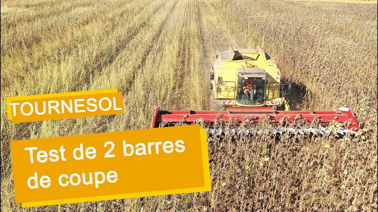 Test ! Qui perd le moins de graines entre une coupe tournesol et une coupe de type 