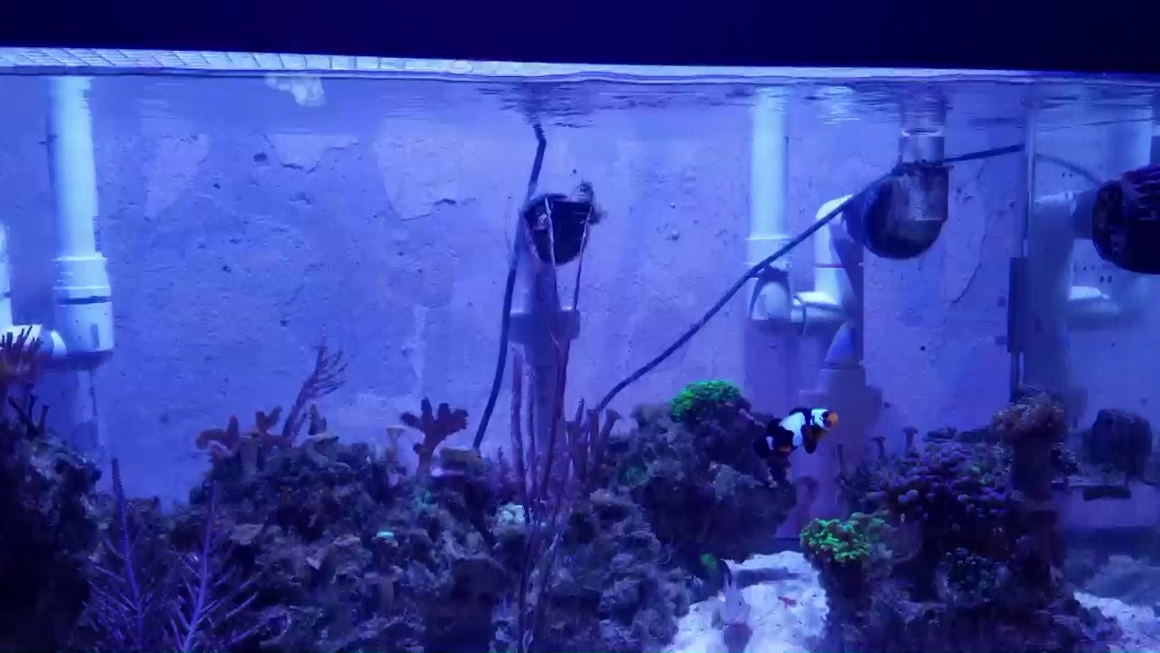 Is this Hobby Still for me??
