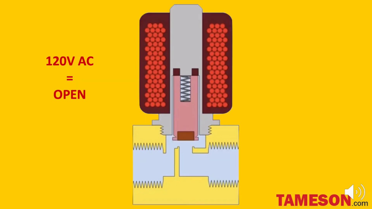 Water Solenoid Valve 120V | Tameson