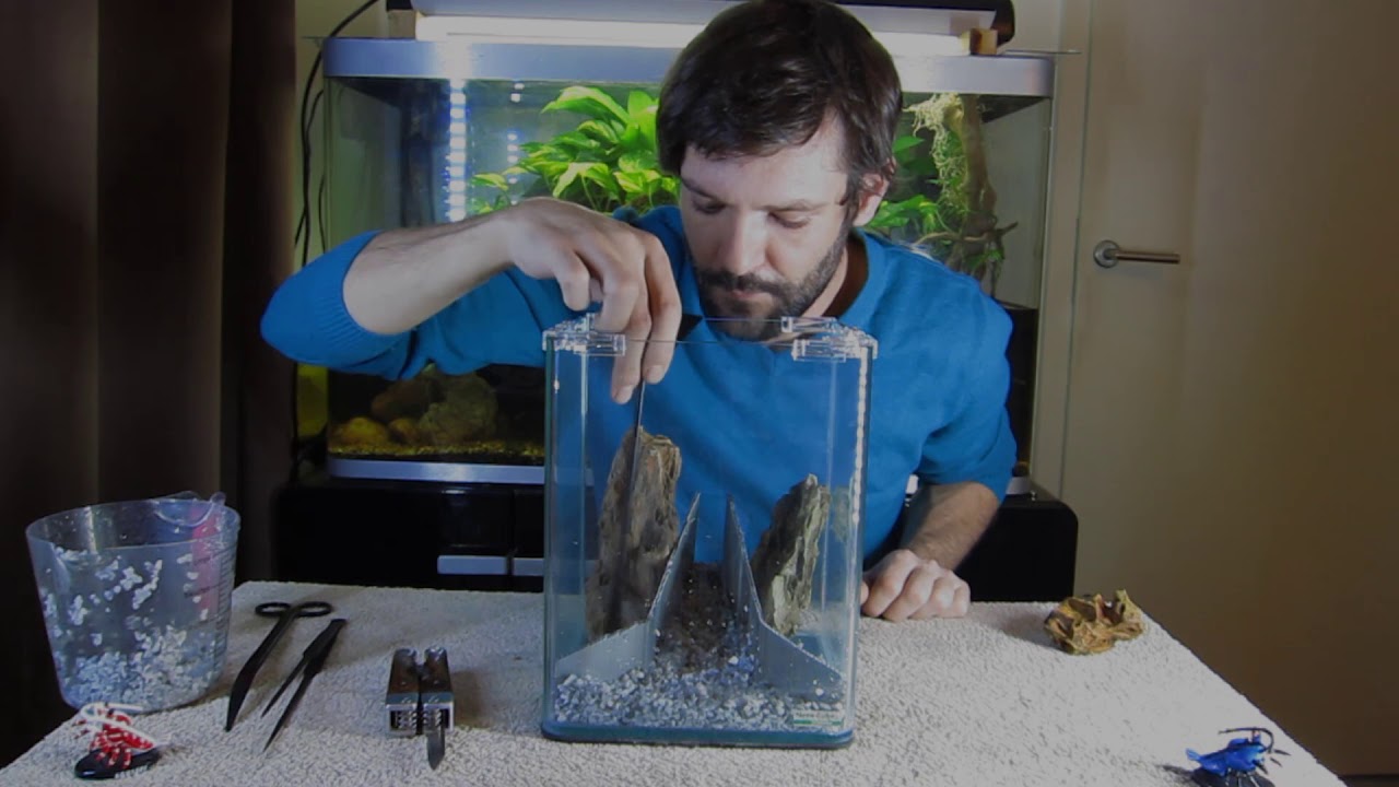 tuto pierre flottante / volante / en lévitation. Aquascape / Aquascaping / Nano 10L Dennerle.