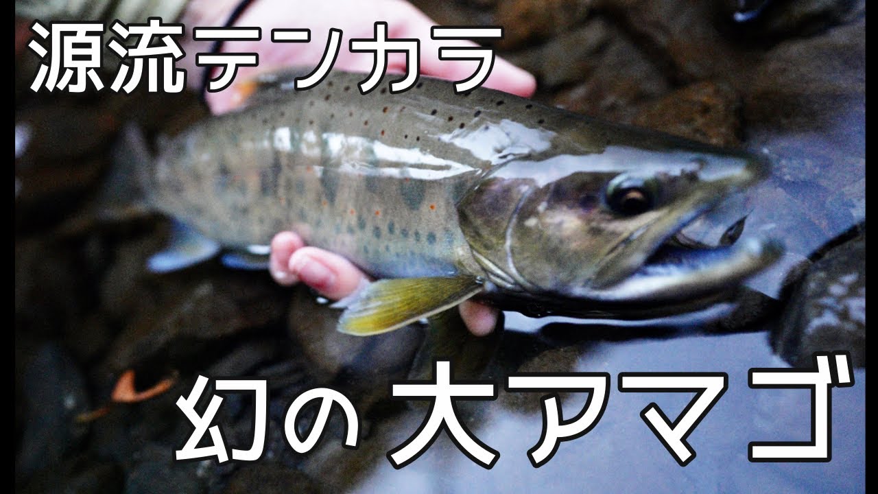 釣りバカ、幻の渓に挑む② #2 Japanese Phantom Stream