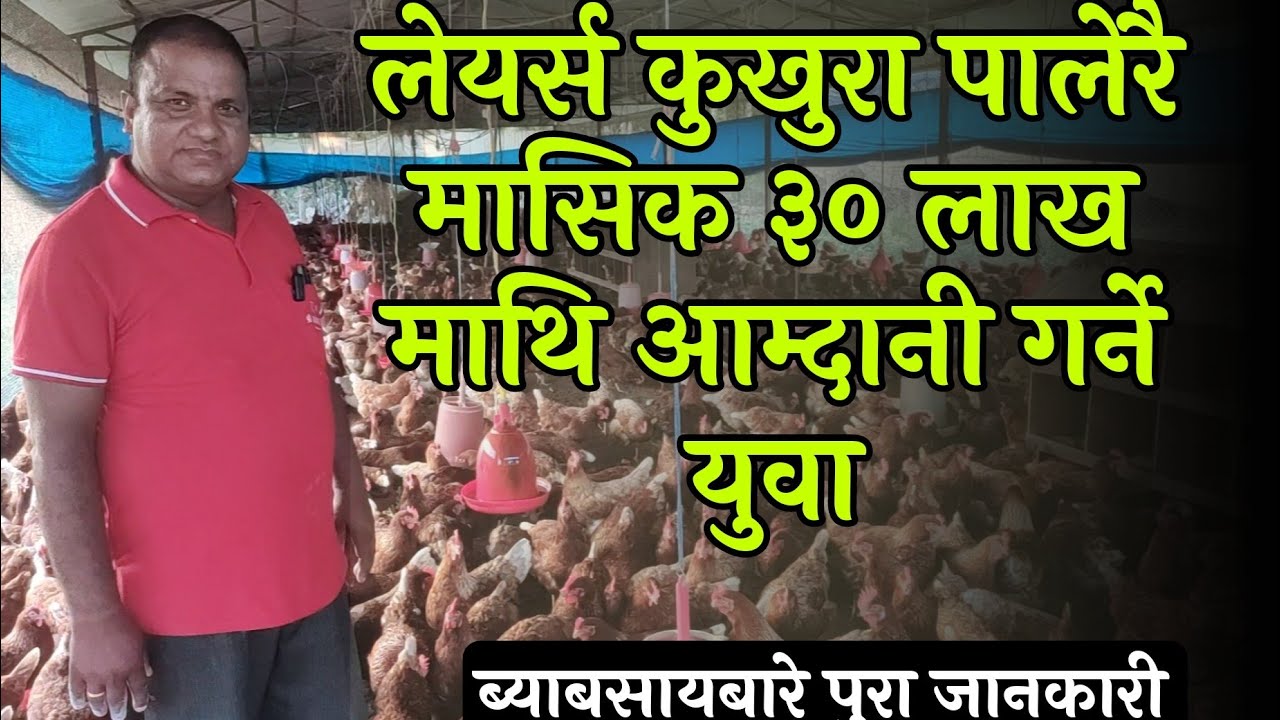layers chicken farming in nepal लेयर्स कुखुरा पालेरै मासिक ३० लाख माथि आम्दानी गर्ने युवाको व्यावसाय