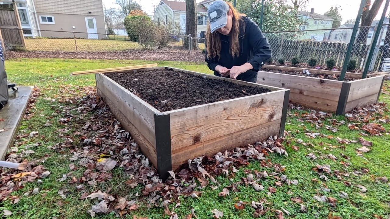 End Of Year Garden Mini Tour & Random Seed Experiment // Dirt and Dish