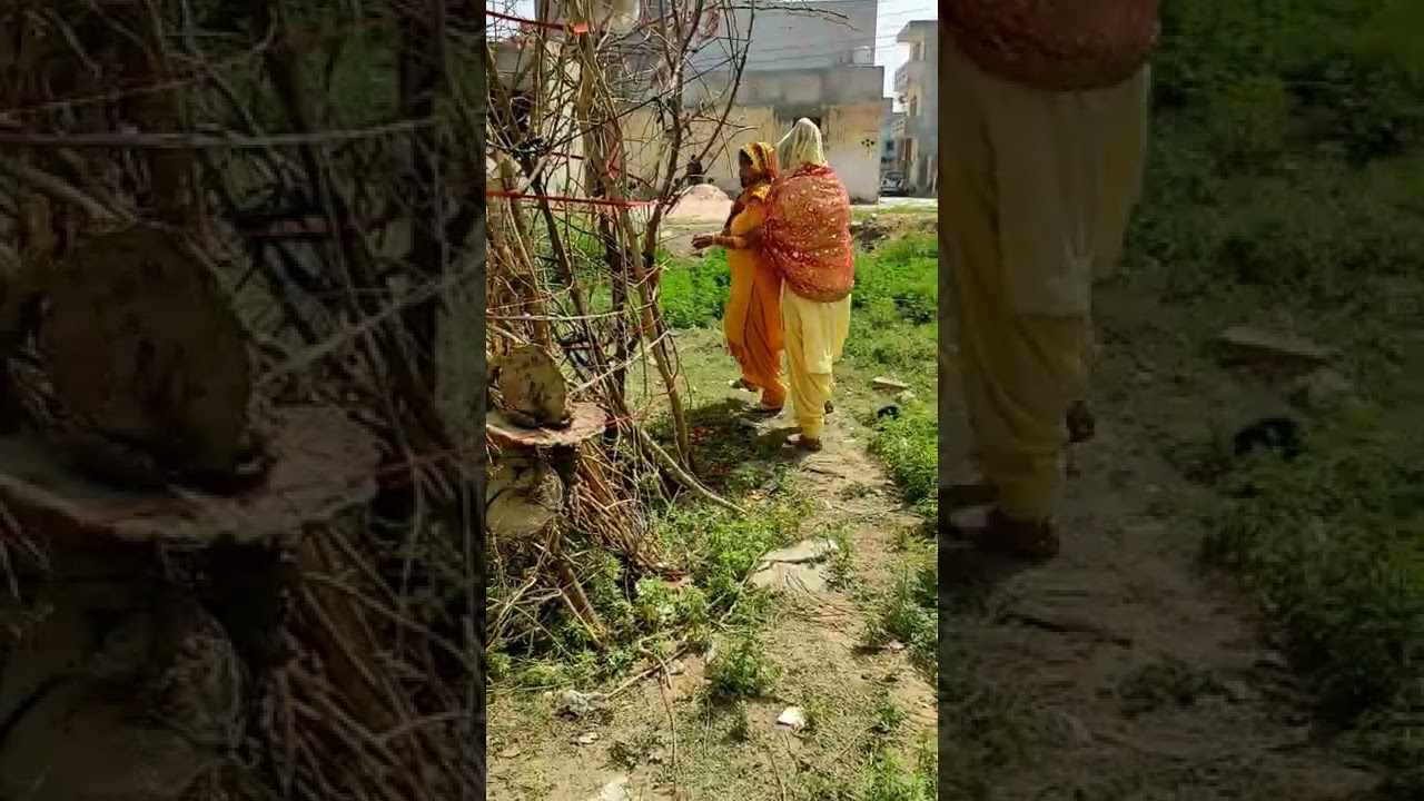 Holika Dahan puja in village||#sassbahukijodi #gillwancouple
