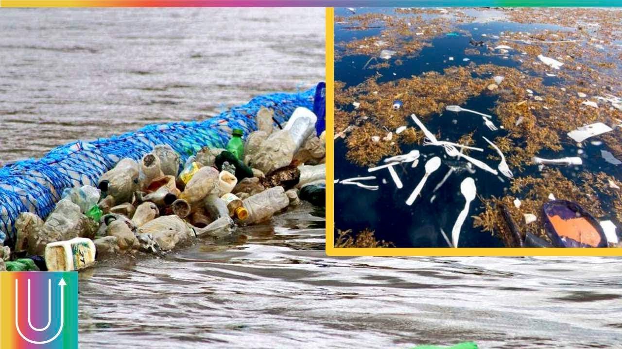 Las biobardas son la solución para salvar al mundo del plástico en el océano
