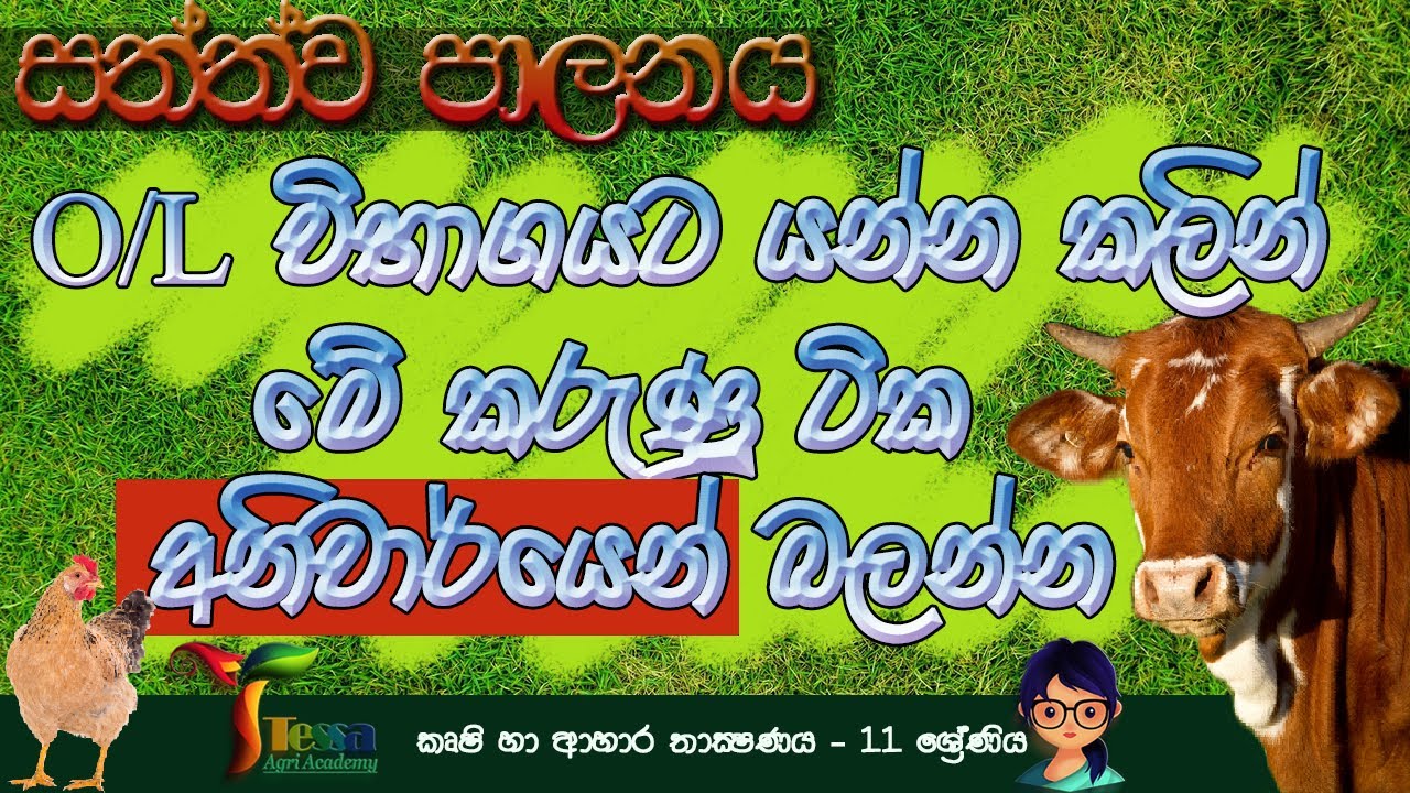 සත්ත්ව පාලනය | O/L විභාගයට පාඩම් කල යුතු වැදගත්ම කරුණු 10 |කෘෂි හා ආහාර තාක්ෂණය|11 ශ්‍රේණිය |8 පාඩම